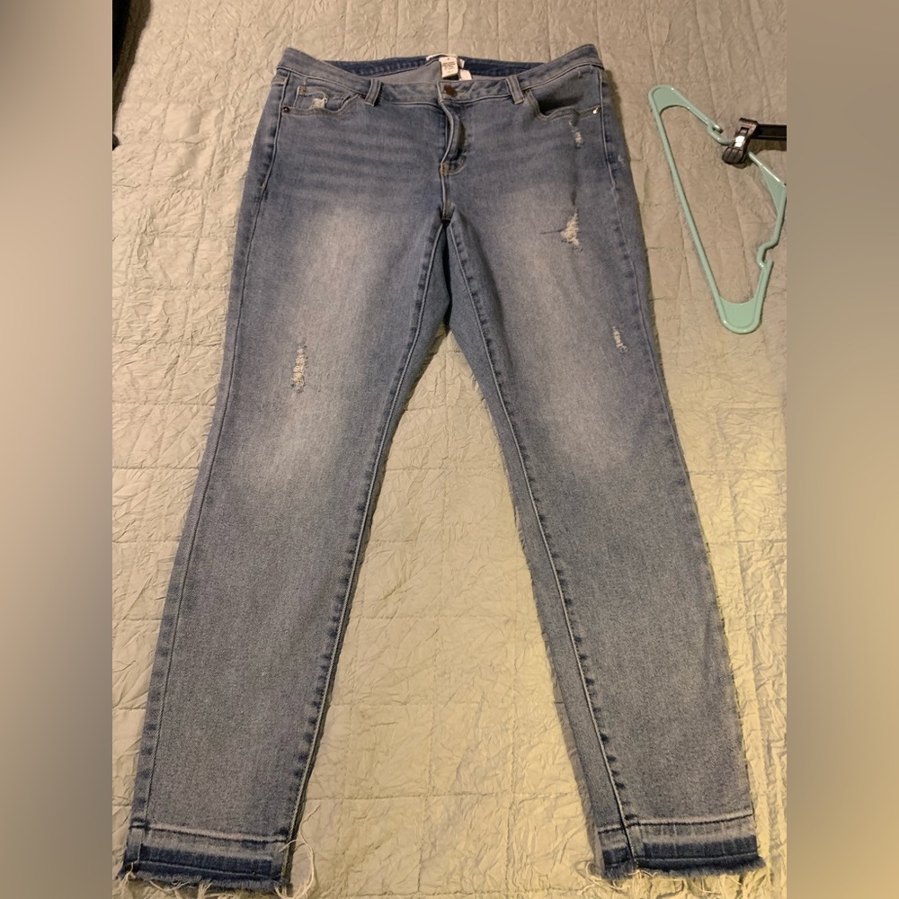 Lane Bryant denim